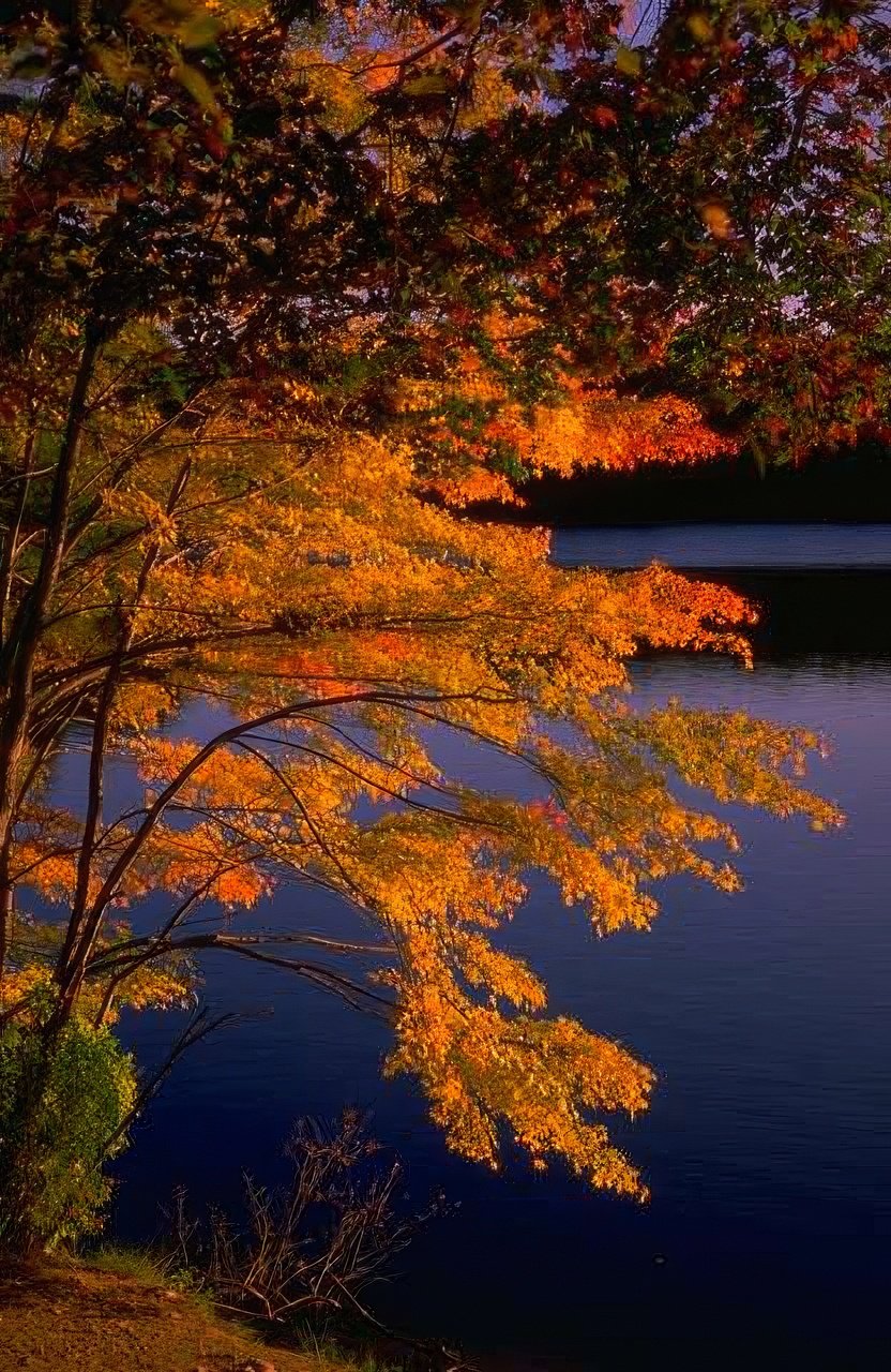 Landscape Autumn Lake Reflection 3 A4 Photo Print