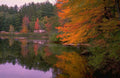 Landscape Autumn Lake Reflection 5 A4 Photo Print