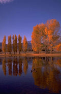 Landscape Autumn Lake Reflection 6 A4 Photo Print