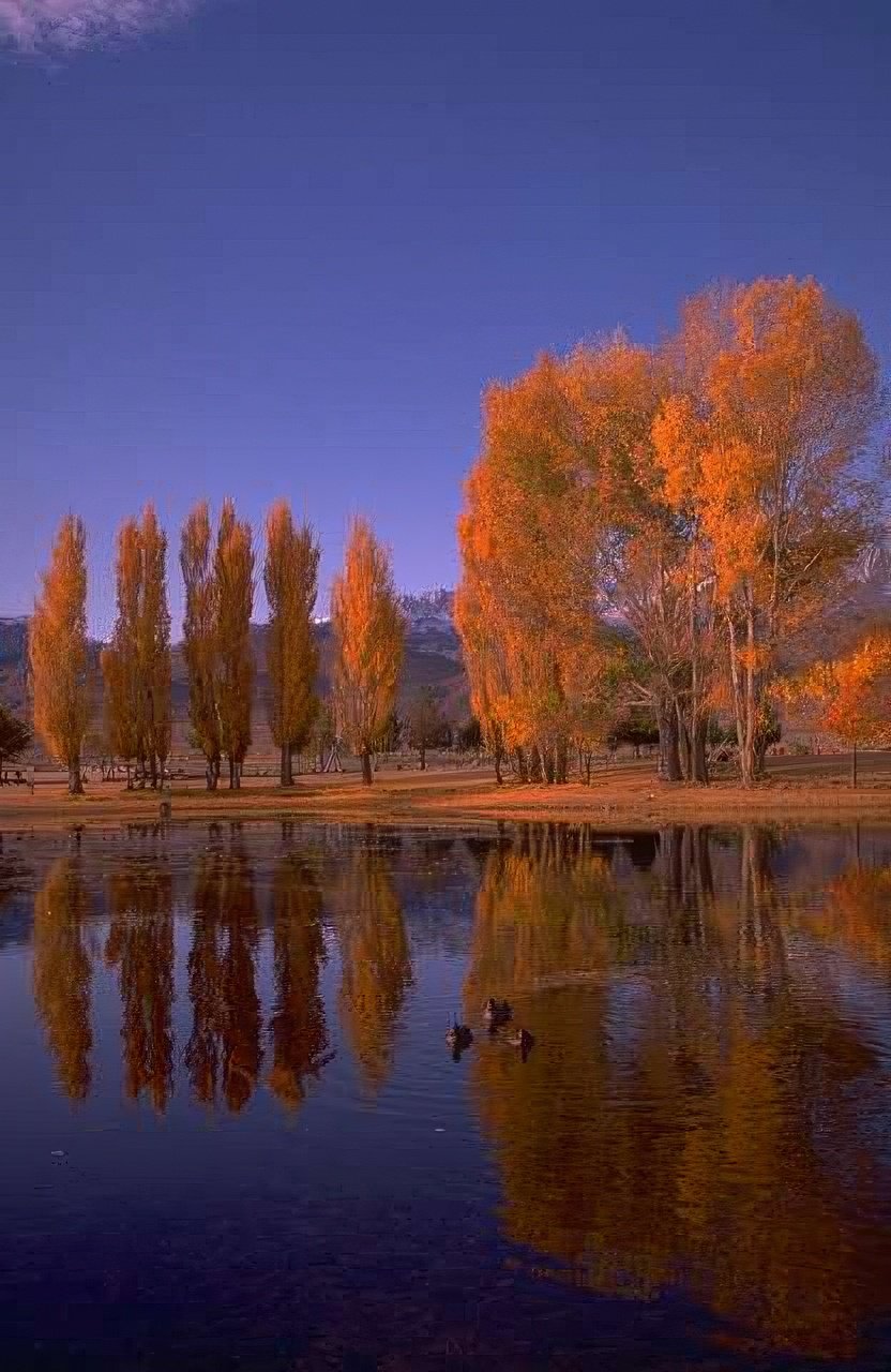 Landscape Autumn Lake Reflection 6 A4 Photo Print