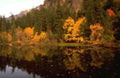 Landscape Autumn Lake Reflection 7 A4 Photo Print
