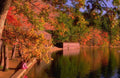 Landscape Autumn Lake Reflection 8 A4 Photo Print
