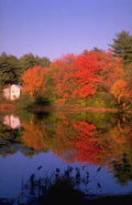 Landscape Autumn Lake Reflection 9 A4 Photo Print