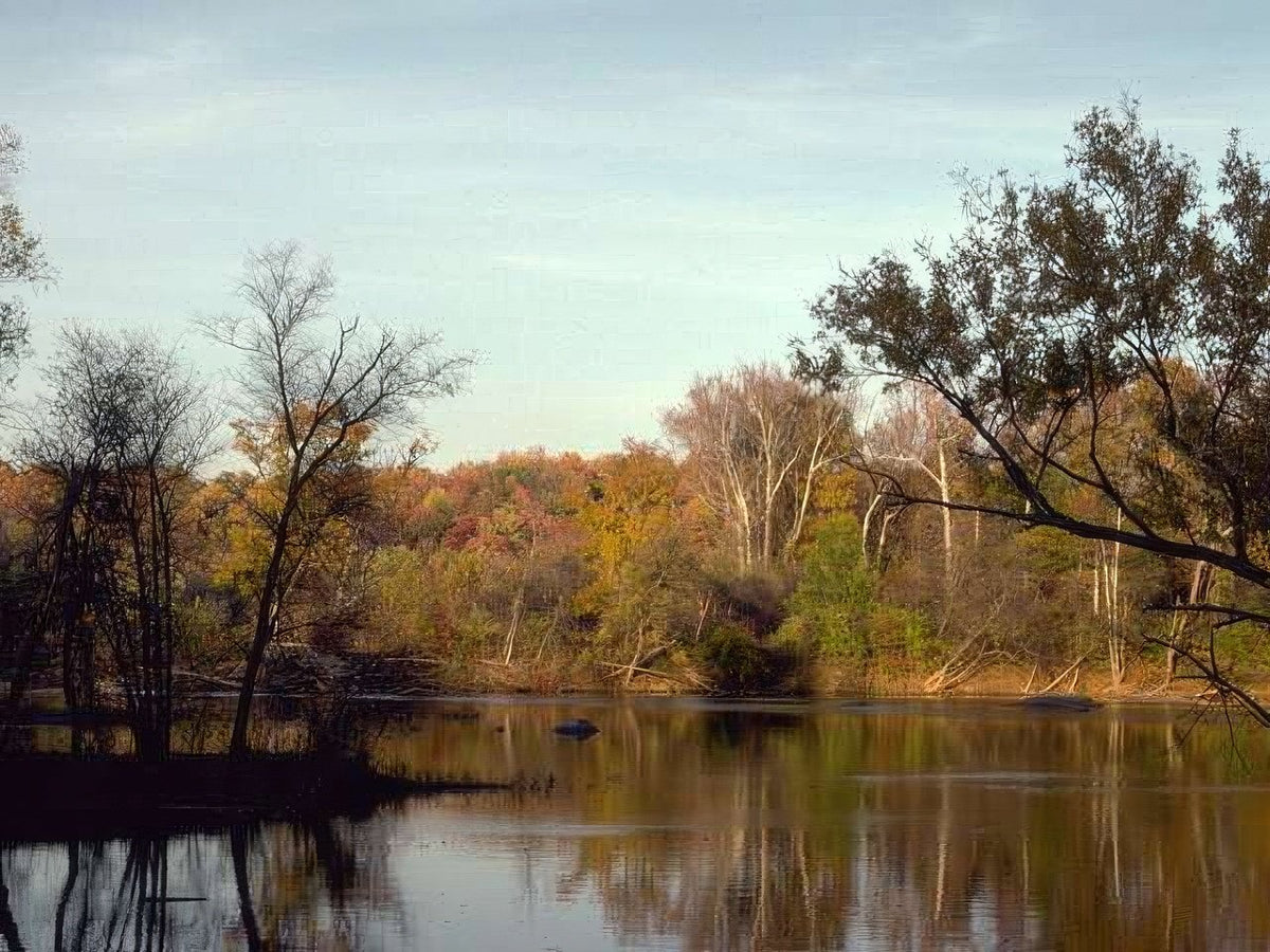 Landscape Autumn Lake Reflection A4 Photo Print