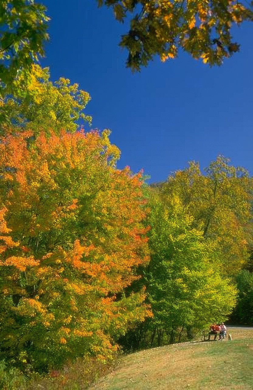 Landscape Autumn Landscape Fall A4 Photo Print