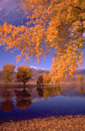 Landscape Autumn Landscape Reflecting A4 Photo Print