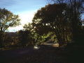 Landscape Autumn Landscape Road A4 Photo Print