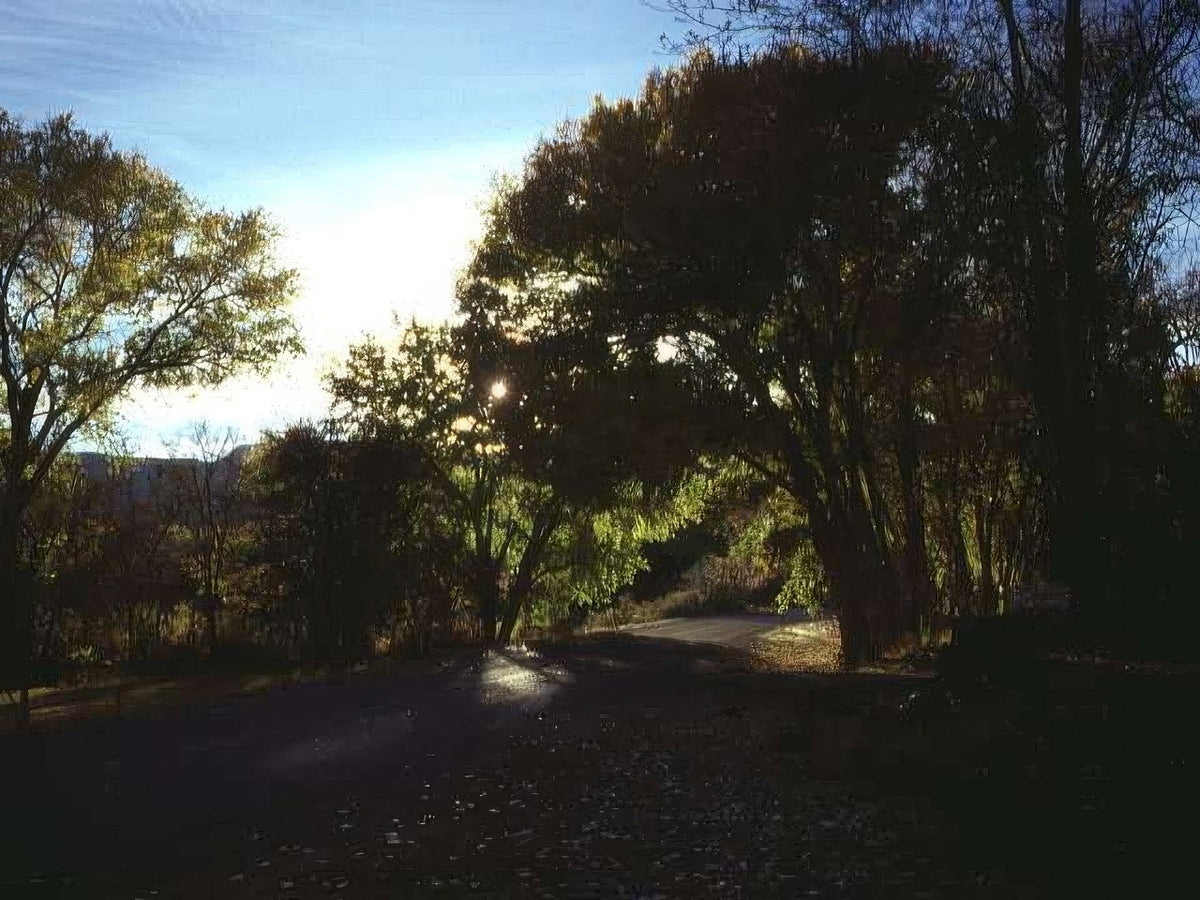 Landscape Autumn Landscape Road A4 Photo Print