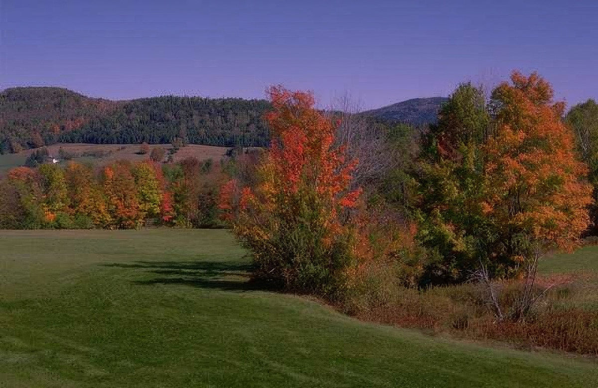 Landscape Autumn Maple Hills 2 A4 Photo Print
