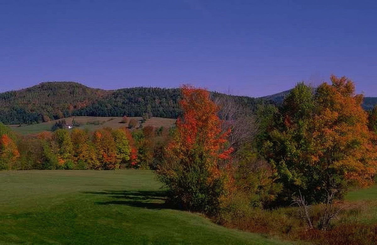 Landscape Autumn Maple Hills A4 Photo Print