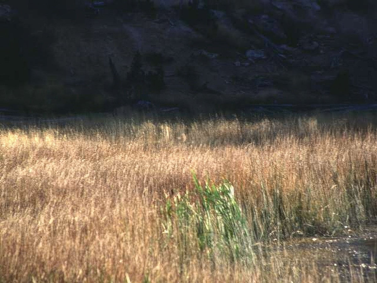 Landscape Autumn Meadow Landscape A4 Photo Print