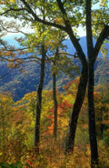 Landscape Autumn Mountains Fall A4 Photo Print