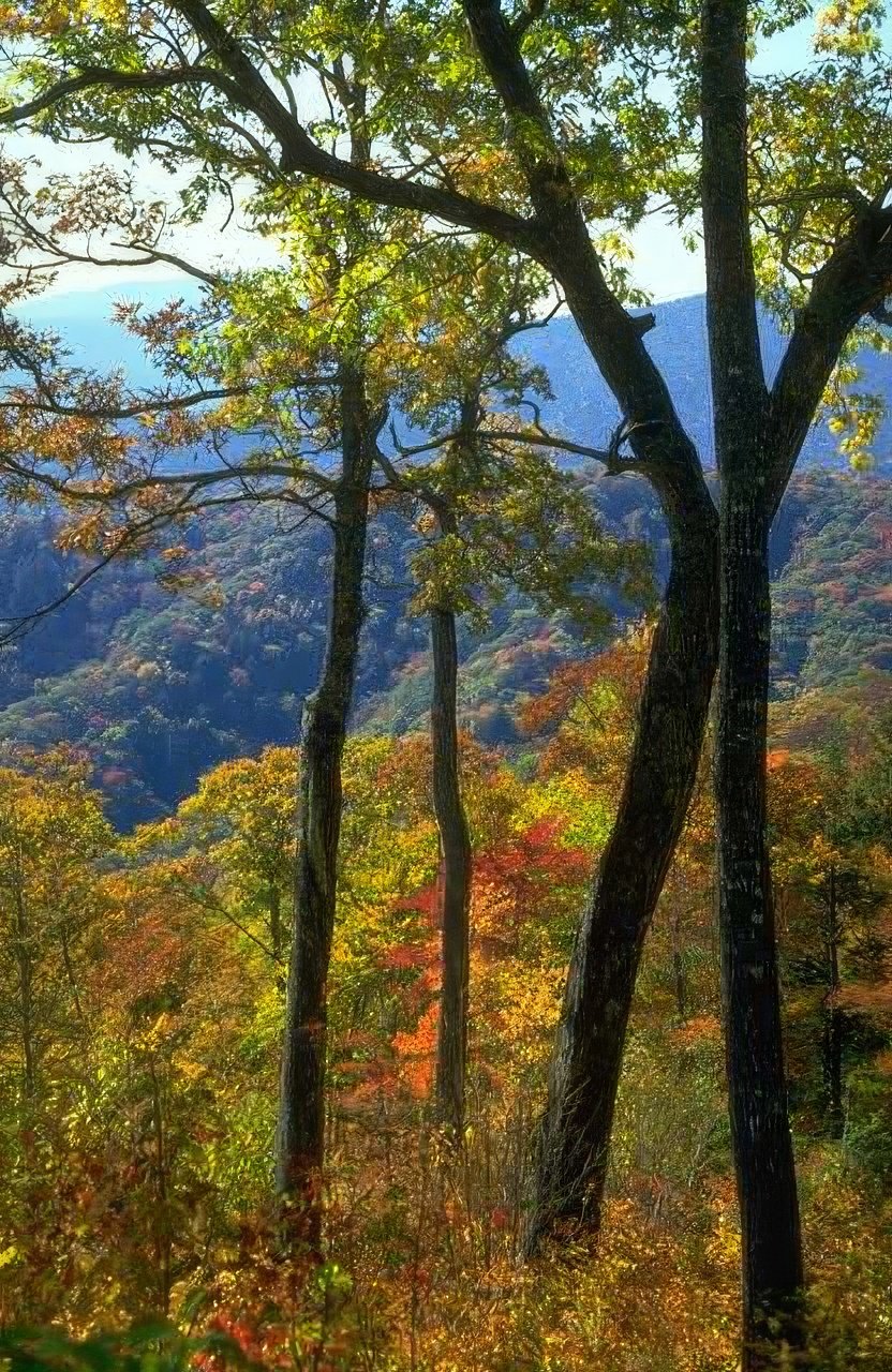 Landscape Autumn Mountains Fall A4 Photo Print