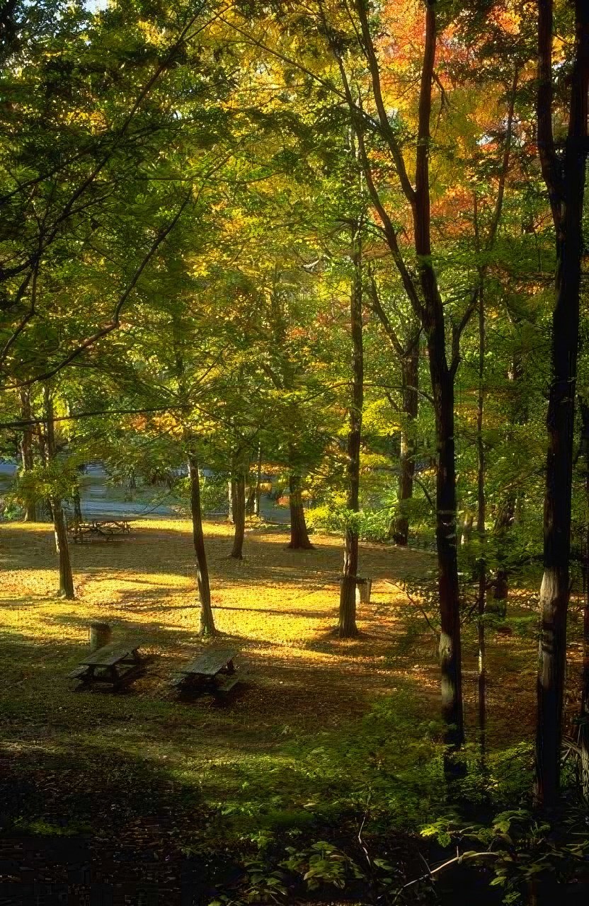 Landscape Autumn Picnic Park A4 Photo Print