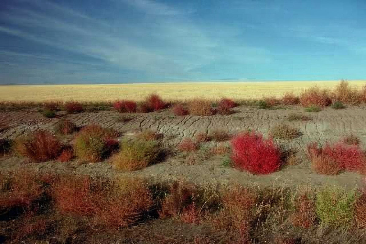 Landscape Autumn Prairie Scape A4 Photo Print