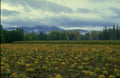 Landscape Autumn Pumpkins Mountains A4 Photo Print