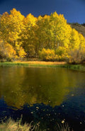 Landscape Autumn River Mountains A4 Photo Print