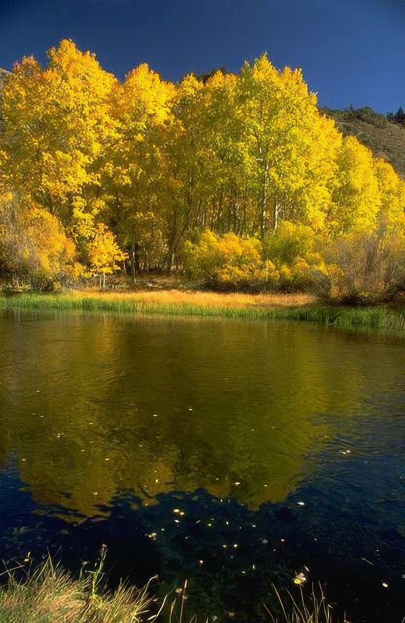 Landscape Autumn River Mountains A4 Photo Print