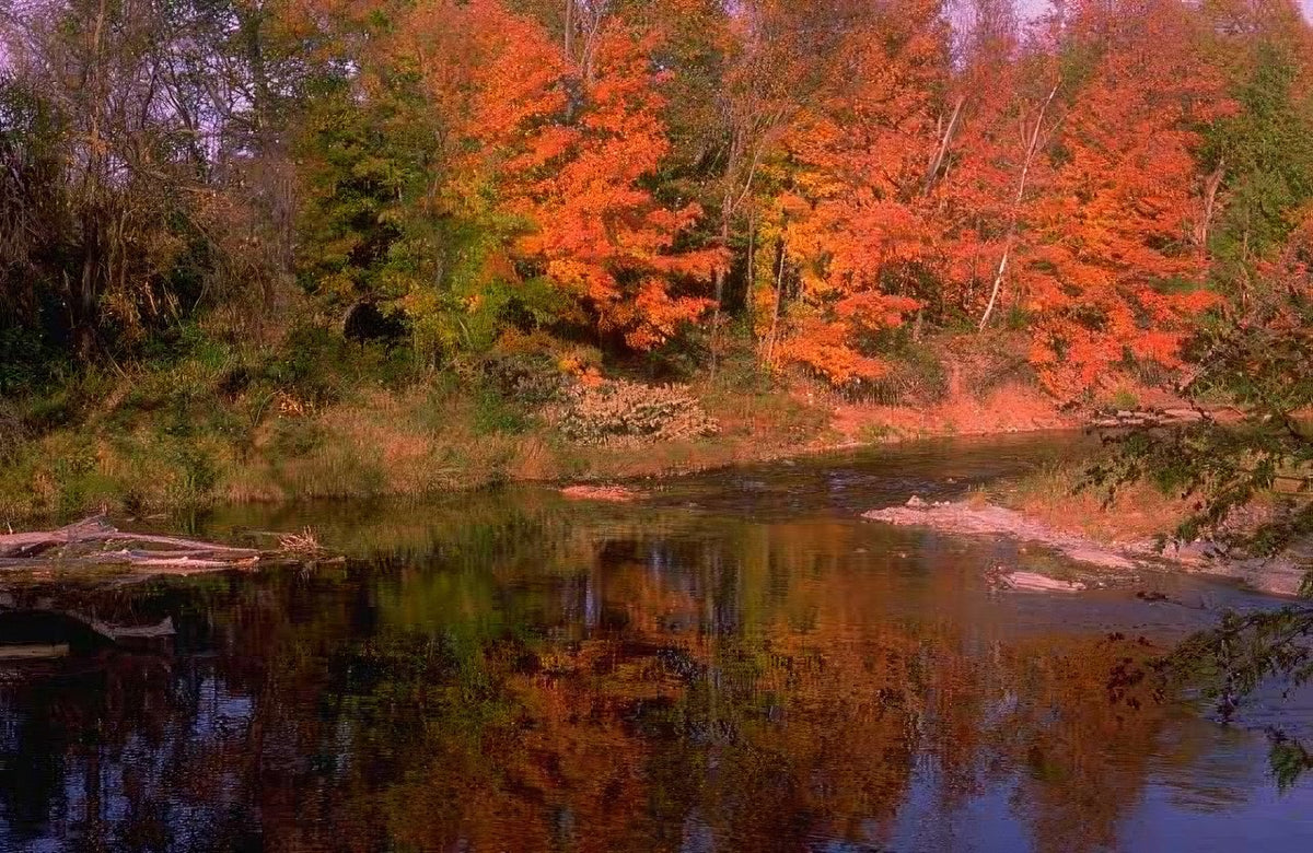 Landscape Autumn River Reflection A4 Photo Print