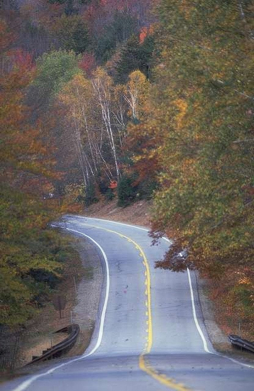 Landscape Autumn Road Blue A4 Photo Print