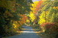 Landscape Autumn Road Fall A4 Photo Print