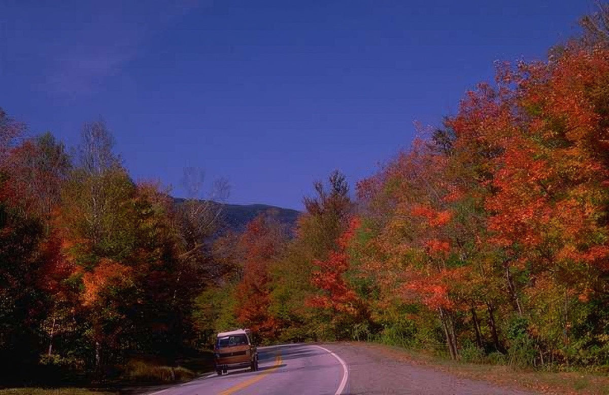 Landscape Autumn Road Trip A4 Photo Print