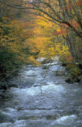 Landscape Autumn Stream Rocks A4 Photo Print