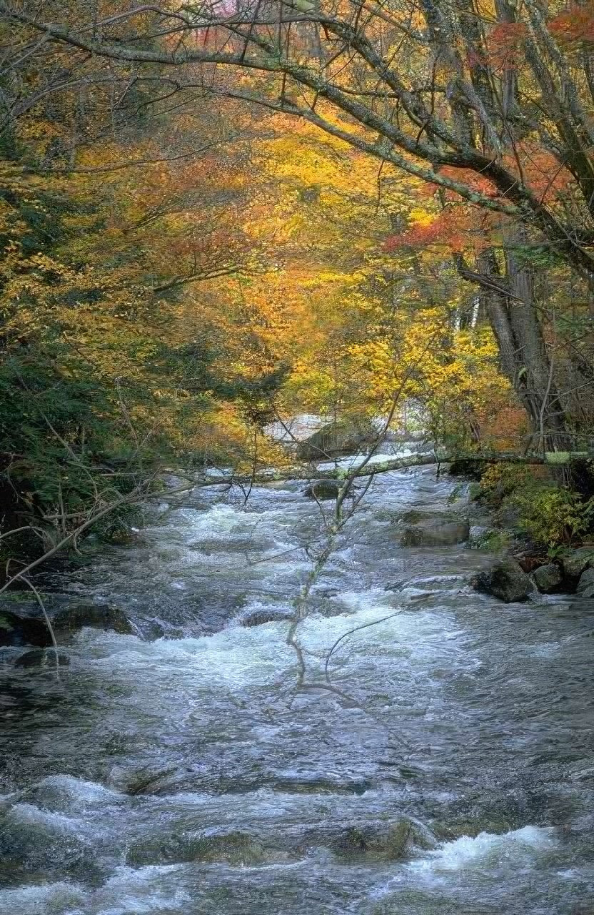 Landscape Autumn Stream Rocks A4 Photo Print