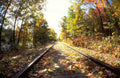 Landscape Autumn Train Tracks 1 A4 Photo Print
