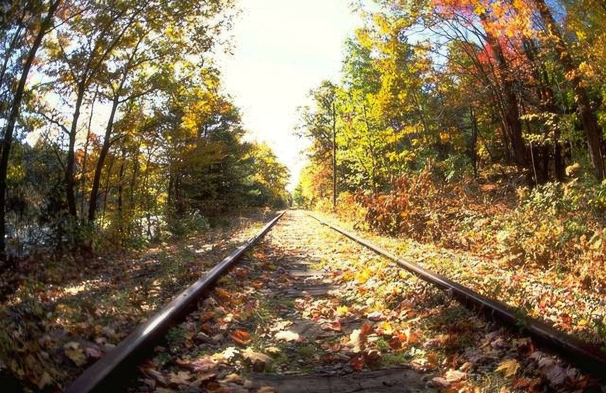 Landscape Autumn Train Tracks 1 A4 Photo Print