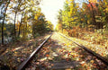 Landscape Autumn Train Tracks 2 A4 Photo Print