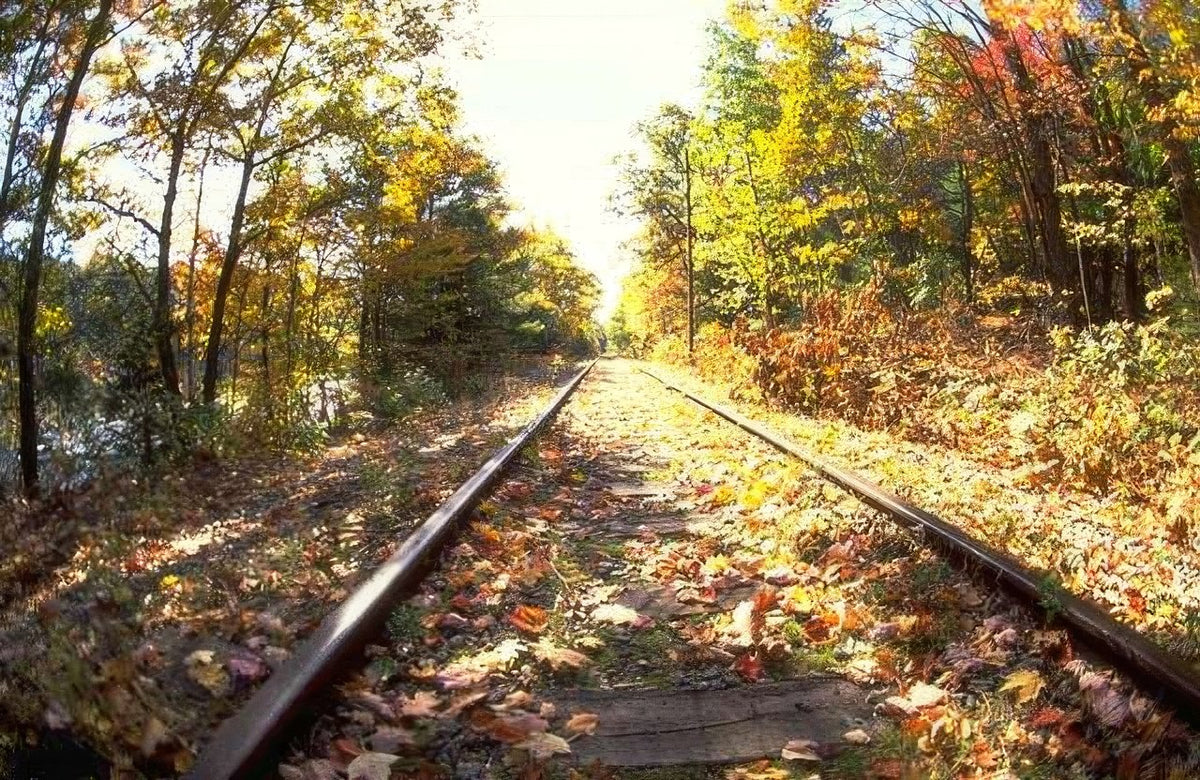 Landscape Autumn Train Tracks 2 A4 Photo Print
