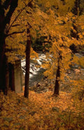 Landscape Autumn Waterfall Dam A4 Photo Print