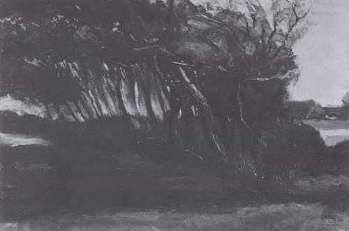 Landscape With Trees In The Wind Nuenen 1885 A4 Photo Print