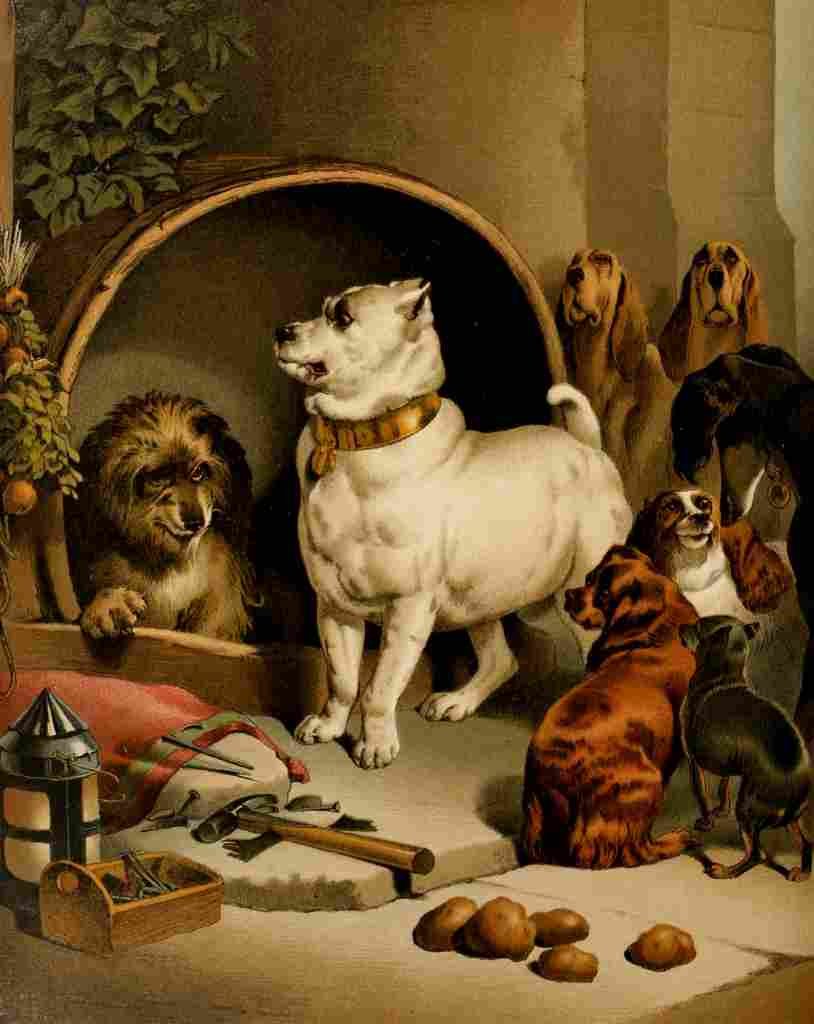 Landseer Edwin Alexander & Diogenes A4 Photo Print