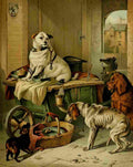 Landseer Edwin Jack in office A4 Photo Print