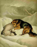 Landseer Edwin Shepherds Dog 1870 1 A4 Photo Print