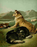 Landseer Edwin Shepherds Dog 1870 2 A4 Photo Print