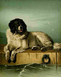 Landseer Edwin Shepherds Dog 1870 4 A4 Photo Print