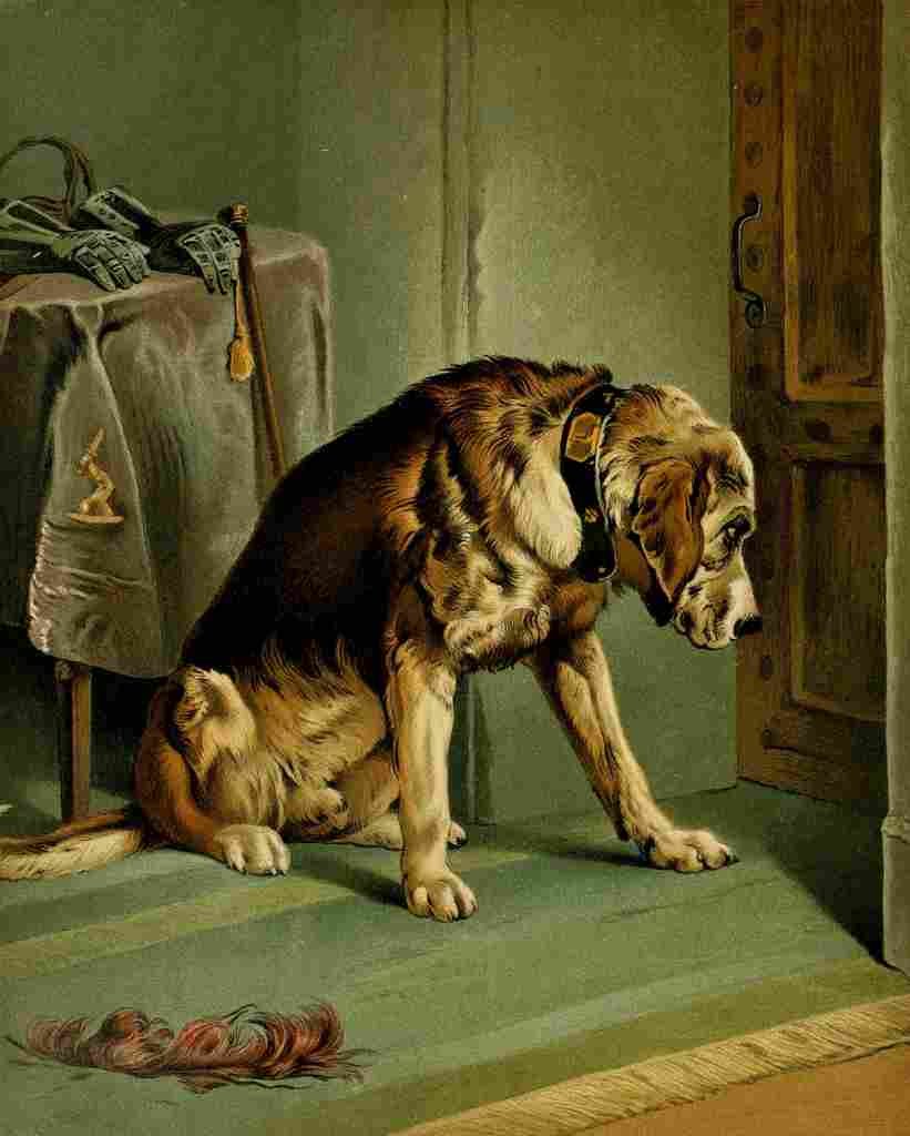 Landseer Edwin Shepherds Dog 1870 6 A4 Photo Print