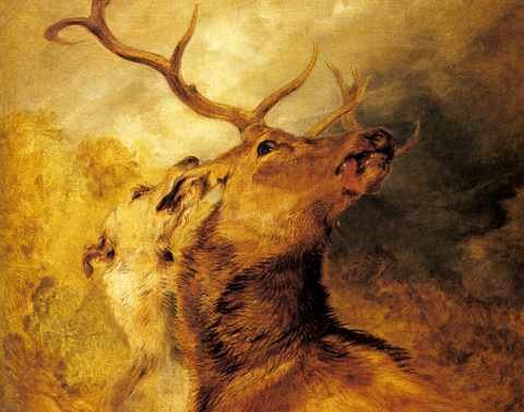 Landseer Sir Edwin Henry Stag And Hound A4 Photo Print