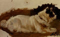 Landseer Sir Edwin Henry Study Of Chow A4 Photo Print