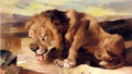 Landseer Sir Edwin Lion Drinking At Stream A4 Photo Print