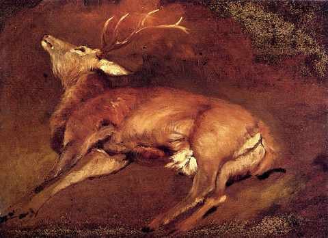 Landseer Sir Edwin Study Of Dead Stag A4 Photo Print