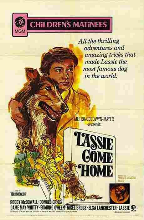 Lassie Come Home 02  film star poster A4 Photo Print