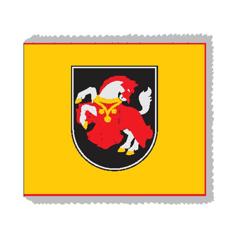 Laukuva City Flag N6798 A4 Photo Print