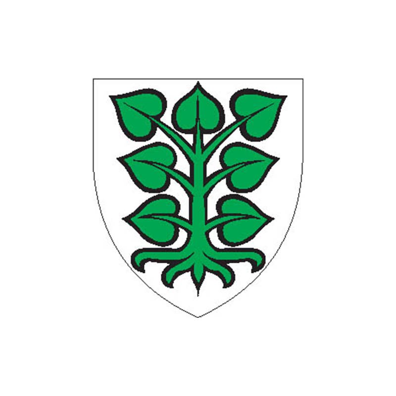 Laupen Dist Coat Of Arms N4274 A4 Photo Print