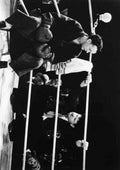 Laurel & Hardy Any Old Port 1 A4 Photo Print