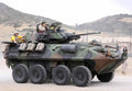 Lav25 A4 Photo Print