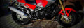Laverda 650 Ghost Legend 1998 1 825x284 motorbike A4 Photo Print
